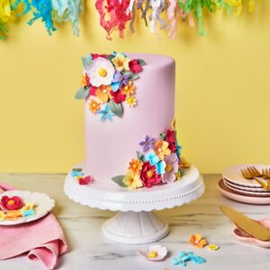 FunCakes Fondant Bright White (5x2,5kg) 12,5kg